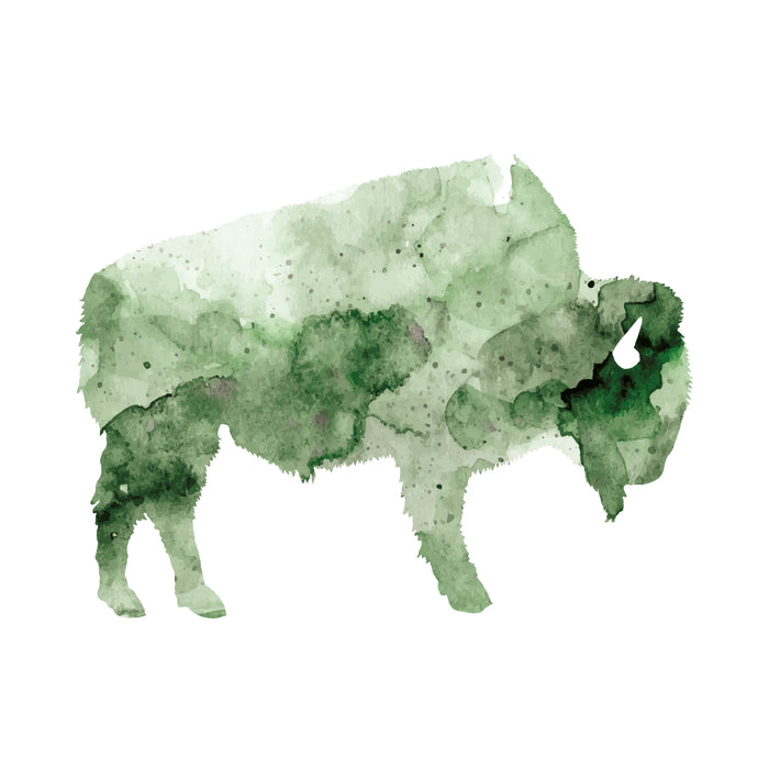 Bison
